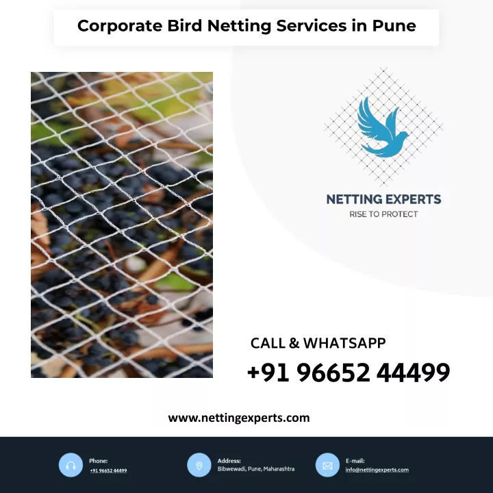 corporate bird netting services in pune