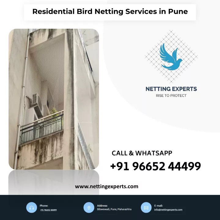 residential bird netting services in pune