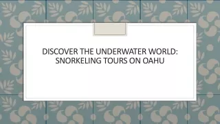 Discover the Underwater World Snorkeling Tours on Oahu