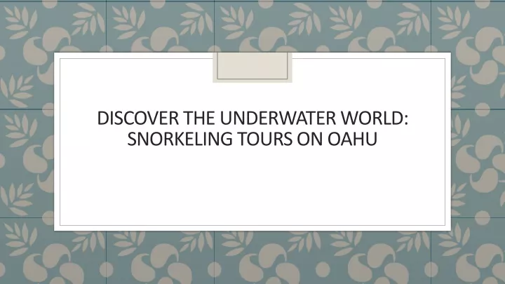 discover the underwater world snorkeling tours