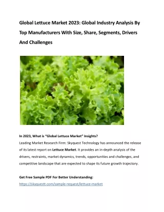 Global Lettuce Market 2023