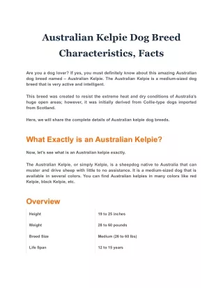 Australian Kelpie Dog Breed Characteristics, Facts