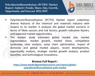 Polychlorotrifluoroethylene (PCTFE) Market
