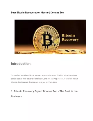 Best Bitcoin Recuperation Master _ Donnaz Zon
