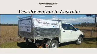 Pest Prevention
