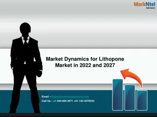 market dynamics for lithopone market in 2022