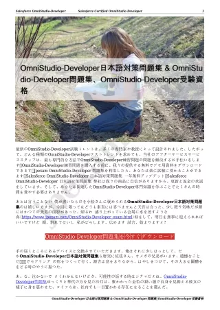 salesforce omnistudio developer