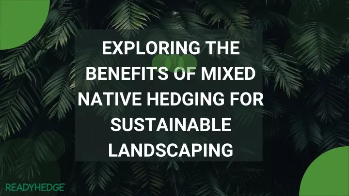exploring the benefits of mixed native hedging