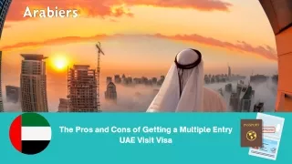 The Pros and Cons of Getting a Multiple Entry UAE Visit Visa