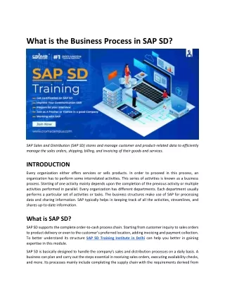what is the business process in sap sd