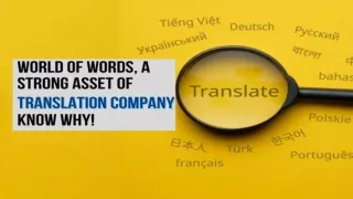 World of Words, A Strong Asset of Translation Company Know Why!