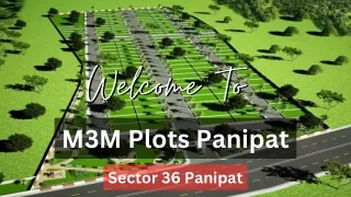 M3M Plots Panipat - Best Investment Option In Haryana