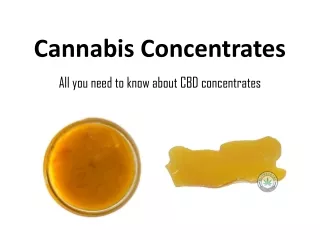 All about Cannabis Concentrates