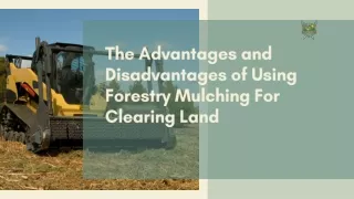 The Advantages and Disadvantages of Using Forestry Mulching For Clearing Land