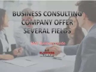 Things offered by business consulting agency