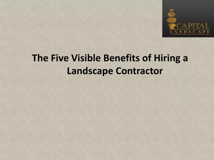 the five visible benefits of hiring a landscape