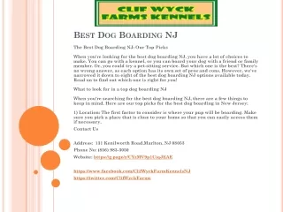 Best Dog Boarding NJ