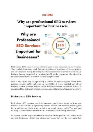 Why are professional SEO services important for businesses?