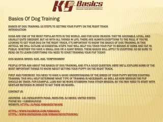 Basics Of Dog Training