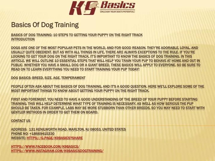 basics of dog training