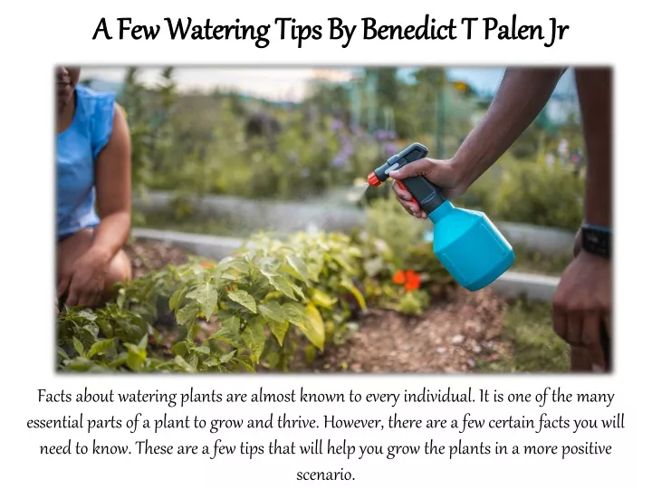 a few watering tips by benedict t a few watering