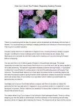 HowCanIAvoidTheProblemRegardingSeekingFlowers - slide 1