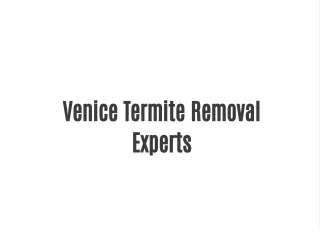 venice termite removal experts