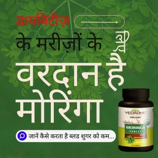 डायबिटीज़ के मरीज़ों के लिए वरदान है मोरिंगा, जानें कैसे करता है ब्लड शुगर को कम...