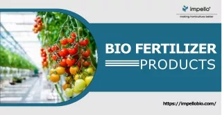 How can bio-fertilizers help in plant growth?