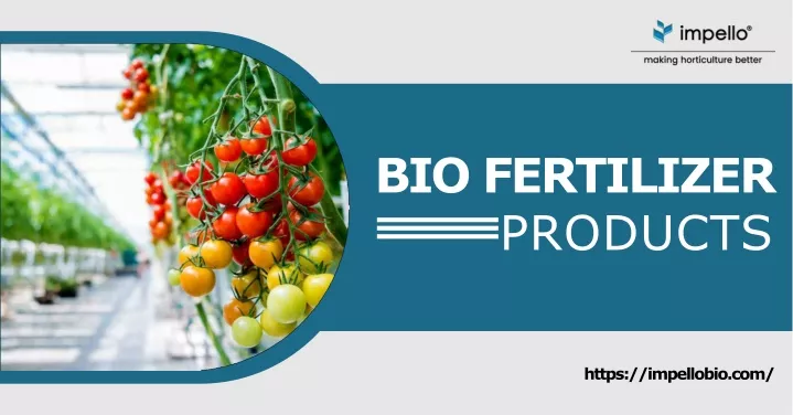 bio fertilizer