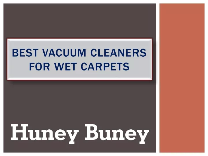 best vacuum cleaners for wet carpets