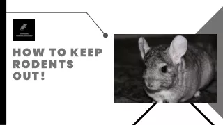 How To Keep Rodents Out!