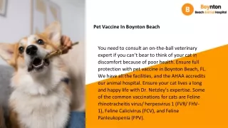 Best Vet Animal Hospital Boynton Beach (2)