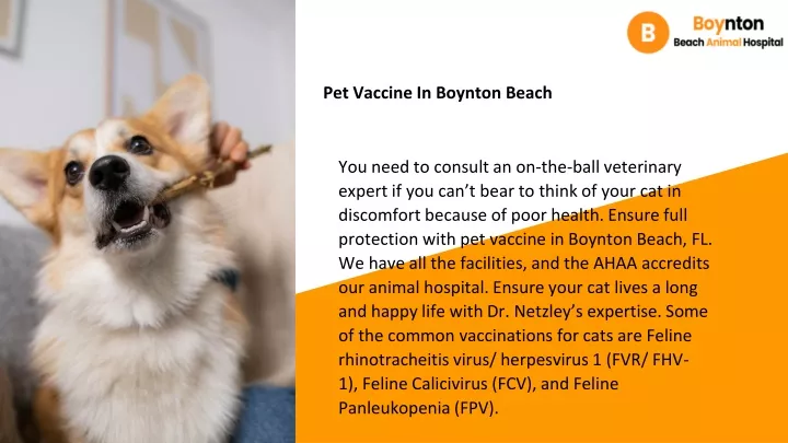 pet vaccine in boynton beach