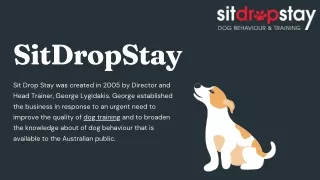 What are the 5 commands to teach a puppy?