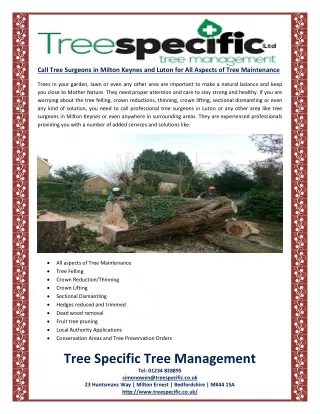 Call Tree Surgeons in Milton Keynes and Luton for All Aspects of Tree Maintenance