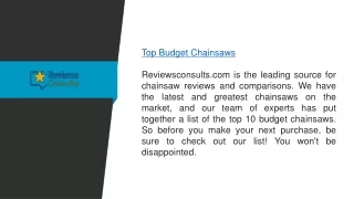 Top Budget Chainsaws  Reviewsconsults.com