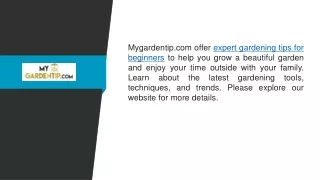 Expert Gardening Tips for Beginners  Mygardentip.com