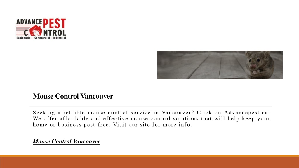 Mouse Control Inversion PPT - Mouse Control Vancouver | Advancepest.ca PowerPoint Presentation ...