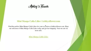 mini mango calla lilies ashleysflower com