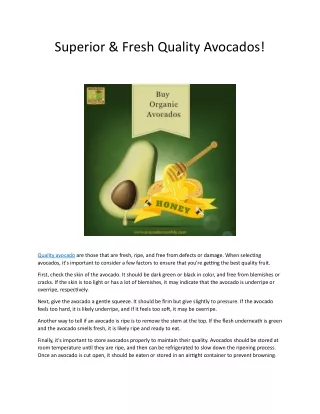 Superior Quality Avocados