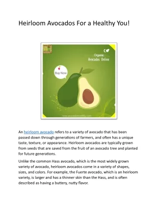 Heirloom Avocados For a Healthy You