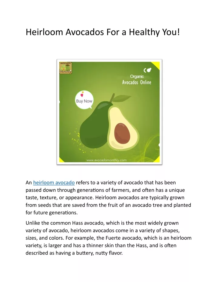 heirloom avocados for a healthy you