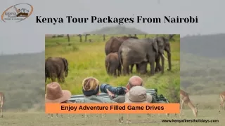 Kenya tour packages from Nairobi