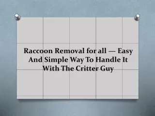 Raccoon Removal for all — Easy And Simple Way To Handle It With The Critter Guy