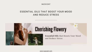 Essential Oils that Boost Your Mood and Reduce Stress