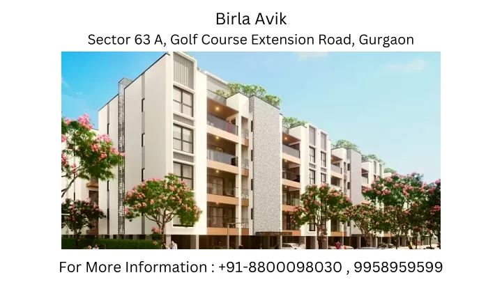 birla avik