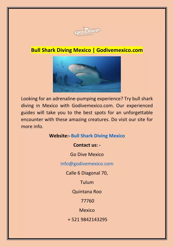 bull shark diving mexico godivemexico com