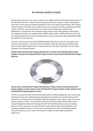 Stainless Steel 316Ti Flanges Exporters in India