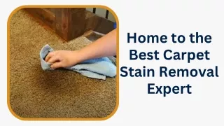 Home to the Best Carpet Stain Removal Expert